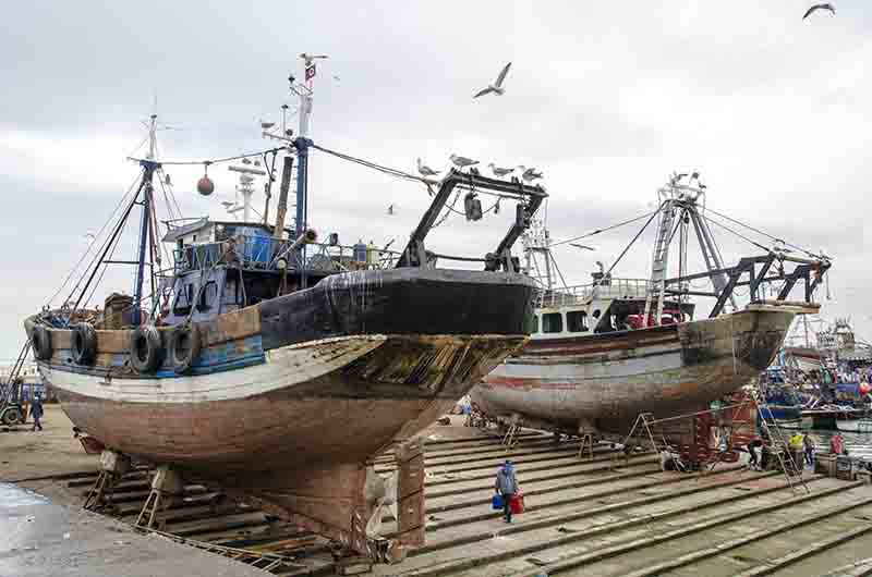 284 - Marruecos - Essaouira - puerto pesquero